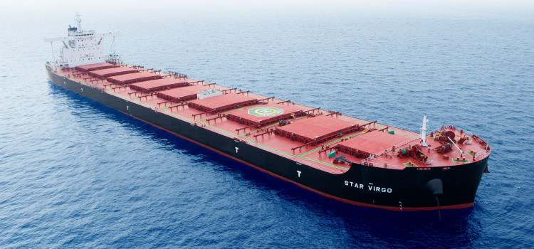 Bulk carrier ship at sea